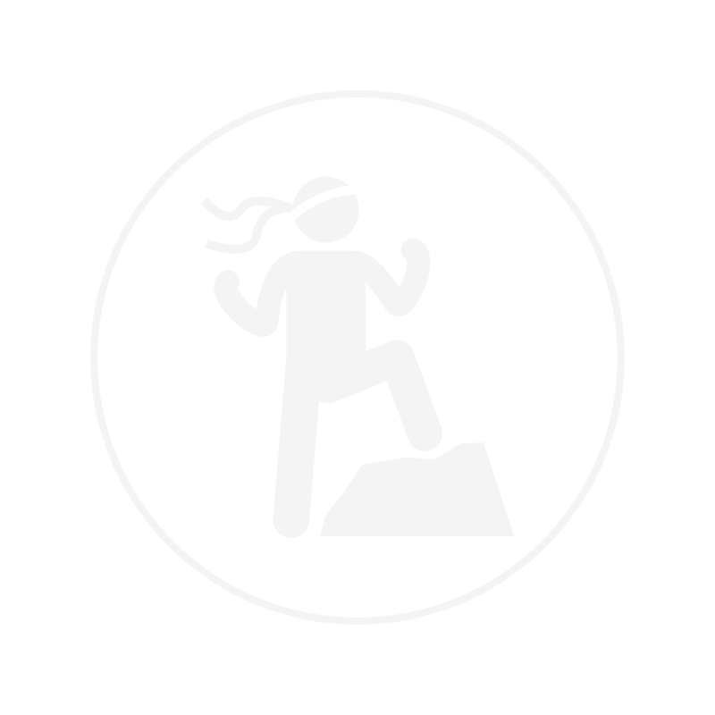 icon of person conquering mountain
